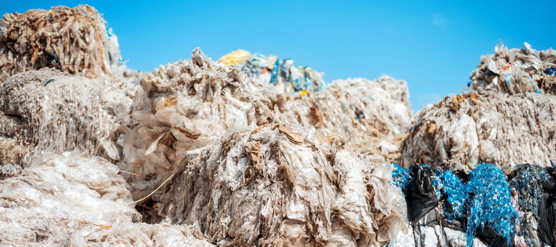 Life-First in an Age of Excess